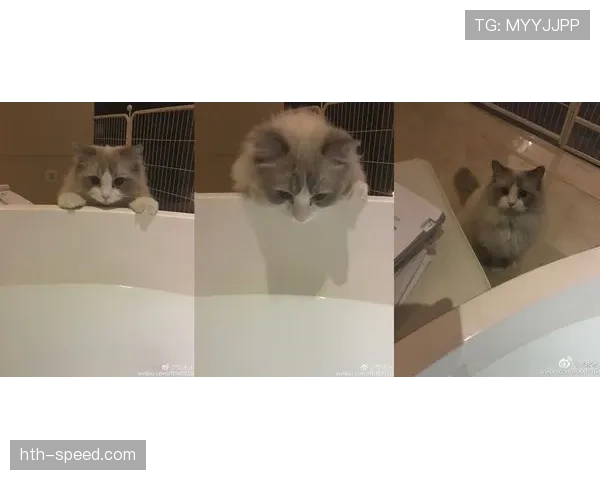 泰森·富里训练完直接去超市买空三个冰柜，回家泡澡用的全是香槟